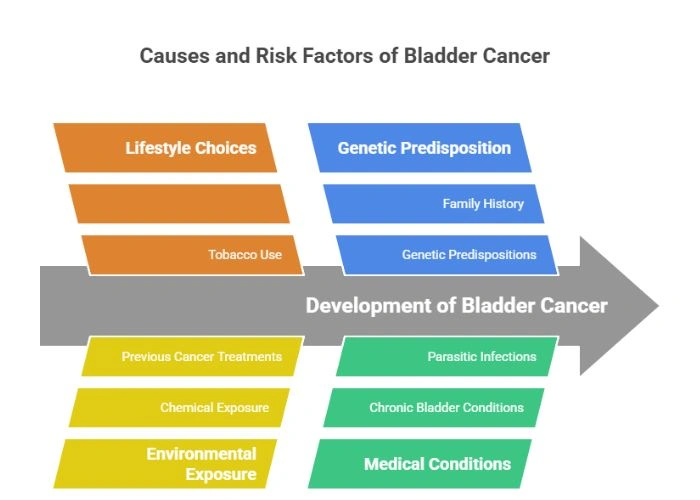 Causes of Bladder Cancer